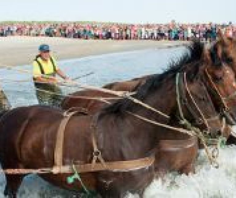 Demonstration horse-drawn lifeboat