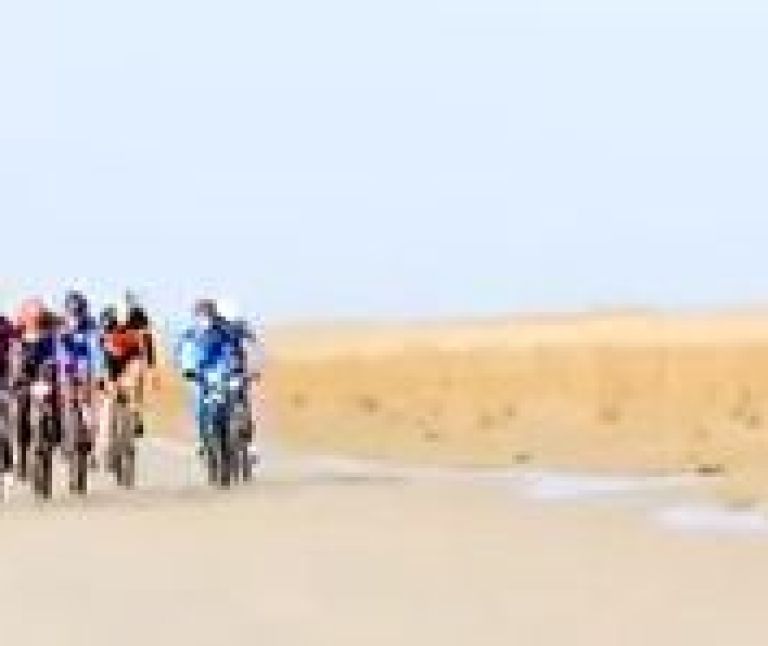 Beach race 2014