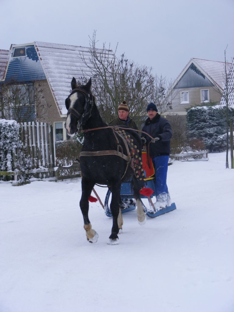 Carriage rides on Ameland - VVV Ameland