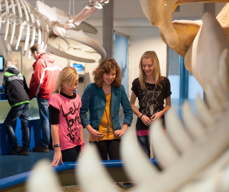 Nature Centre - Tourist Information “VVV” Ameland