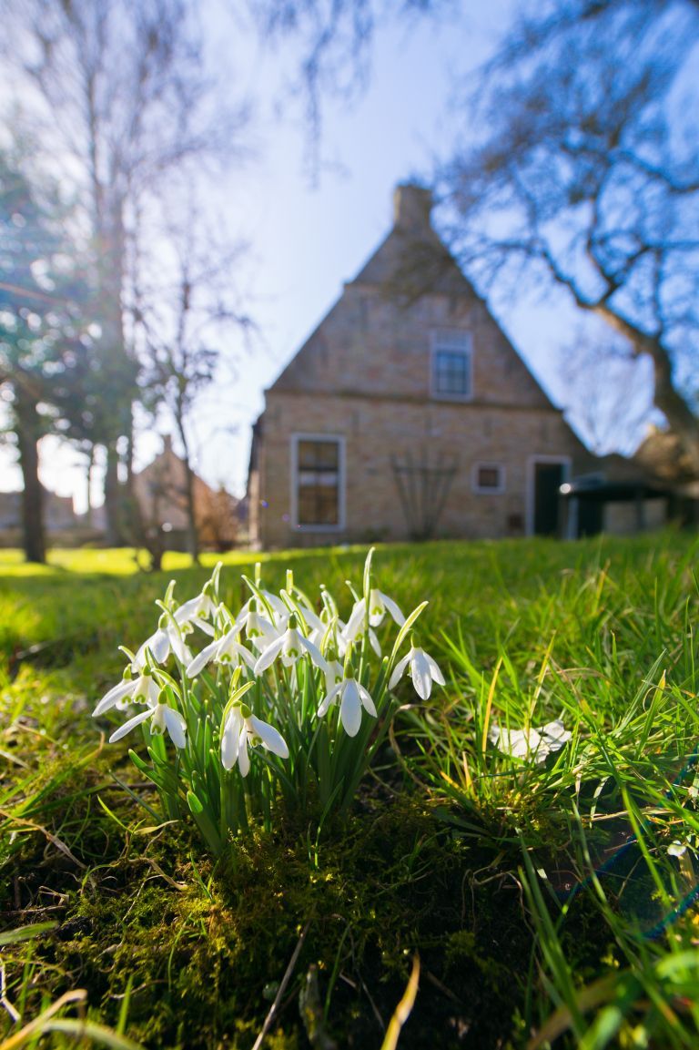 Spring on Ameland: your ultimate spring outing - VVV Ameland