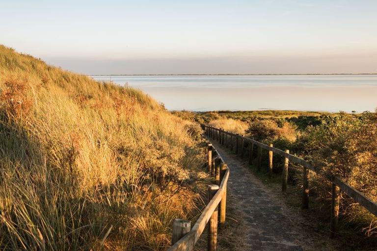 Oerd and Hôn - VVV Ameland