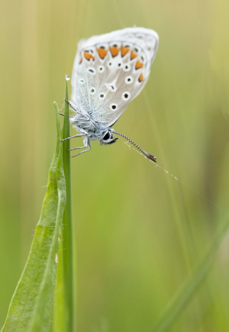 Spring on Ameland: your ultimate spring outing - VVV Ameland