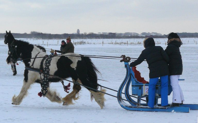 Carriage rides on Ameland - VVV Ameland