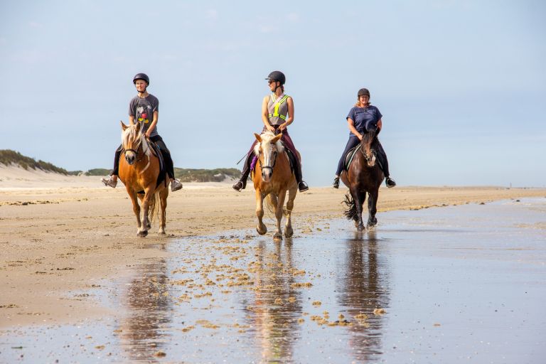 Active Tips and New Year's Resolutions on Ameland - VVV Ameland