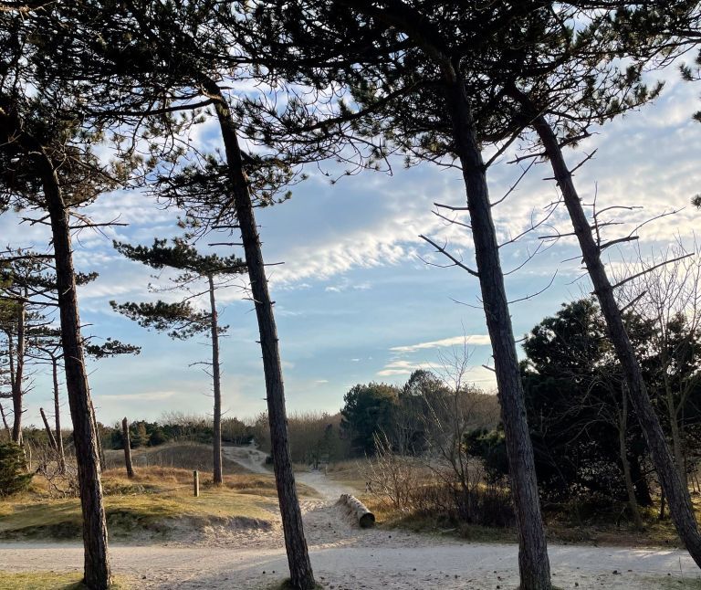 Cycling on Ameland - Tourist Information “VVV” Ameland