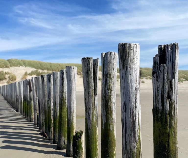 Cycling on Ameland - Tourist Information “VVV” Ameland