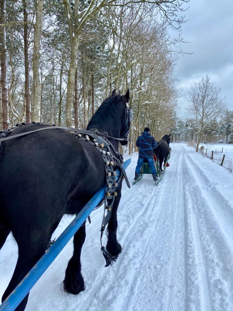 Carriage rides on Ameland - VVV Ameland