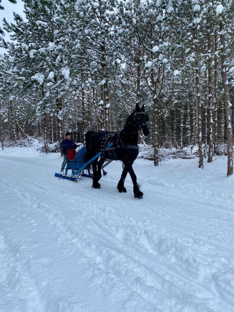 Carriage rides on Ameland - VVV Ameland