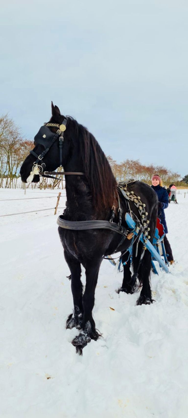 Carriage rides on Ameland - VVV Ameland