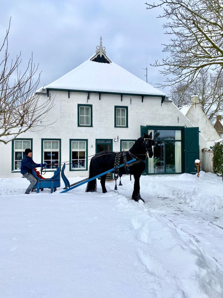 Carriage rides on Ameland - VVV Ameland