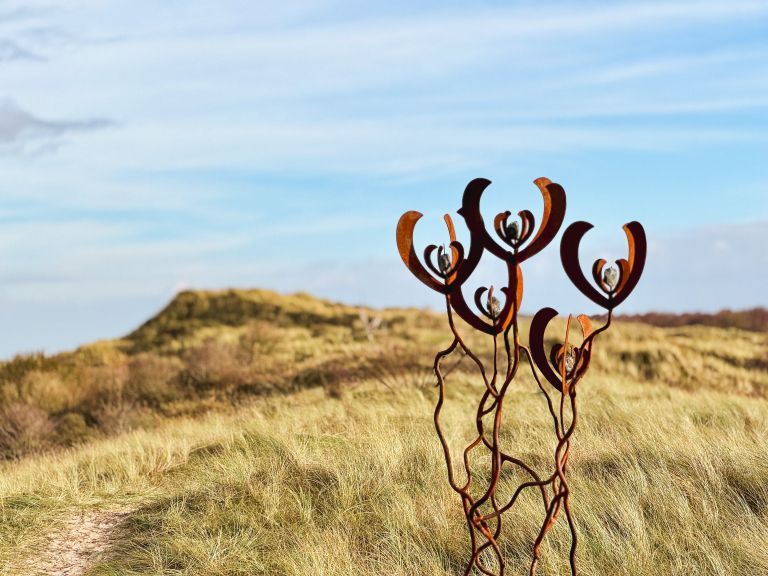 Art Month Ameland November - Tourist information 