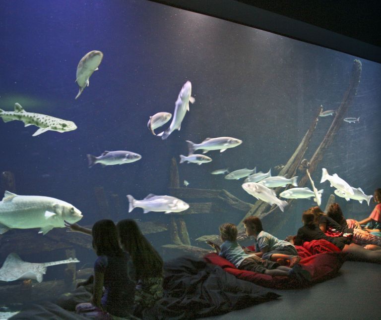 Nature Centre - Tourist Information “VVV” Ameland