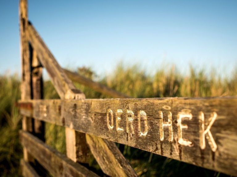 Oerd and Hôn - VVV Ameland