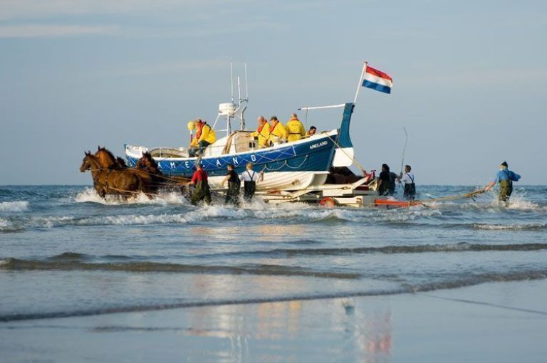 Demonstration horse-drawn rescue boat - VVV Ameland