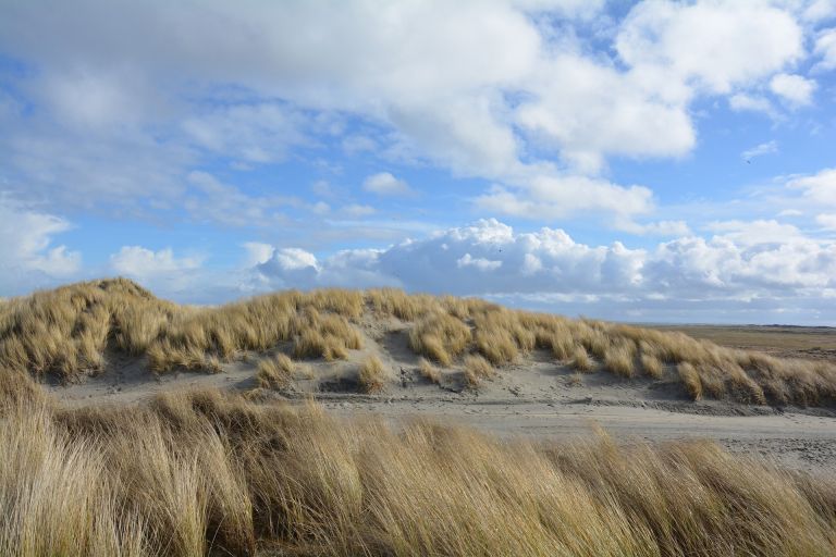 Tijd voor jezelf? Tijd voor Ameland! - VVV Ameland