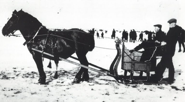 Carriage rides on Ameland - VVV Ameland