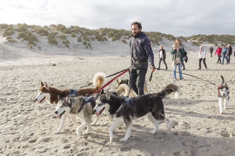 Hiking event Tussen Slik en Zand - Tourist Information 