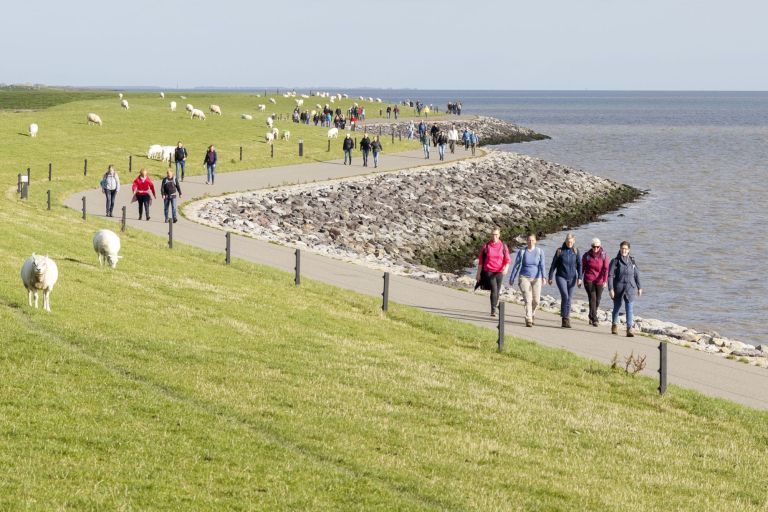 Hiking event Tussen Slik en Zand - Tourist Information 