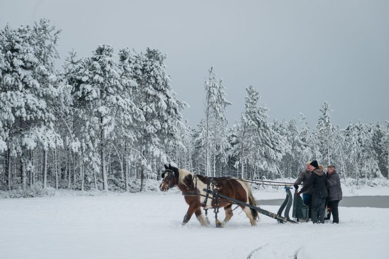 Carriage rides on Ameland - VVV Ameland