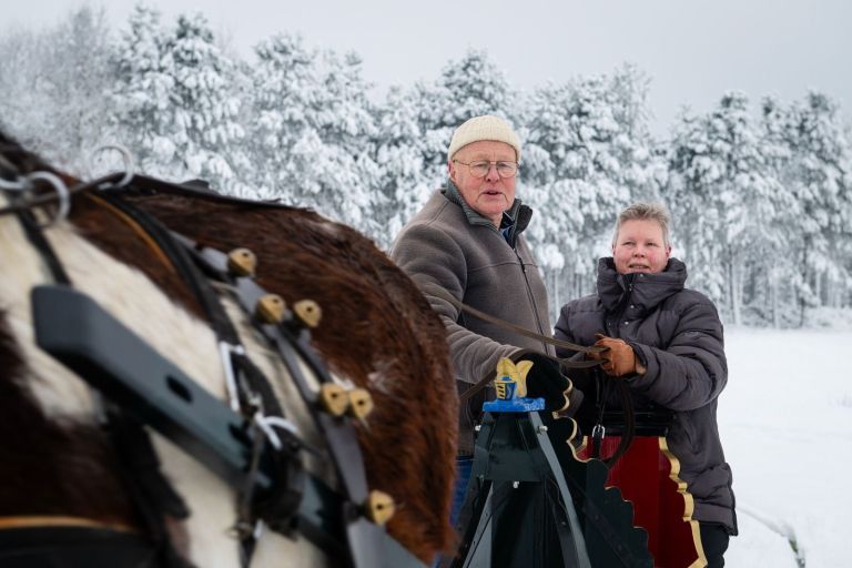 Carriage rides on Ameland - VVV Ameland