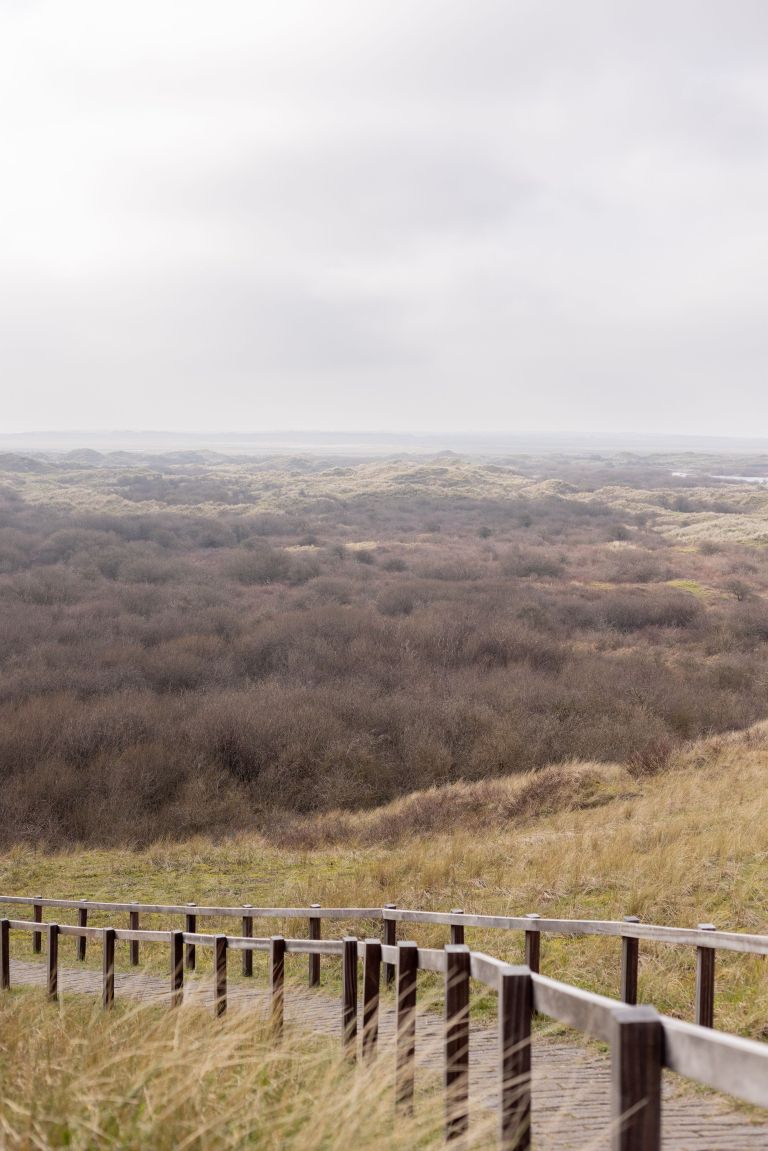 Oerd and Hôn - VVV Ameland