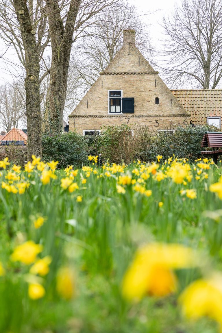 Spring on Ameland: your ultimate spring outing - VVV Ameland