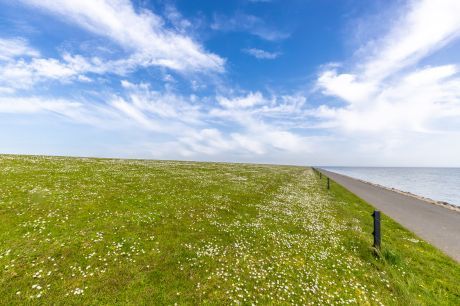 General terms and conditions 'Message in a bottle'-page & photo submissions - VVV Ameland