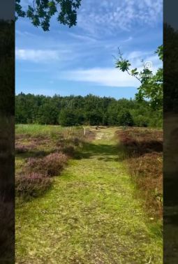 Wandelen bij de BP plas in Ballum op Ameland