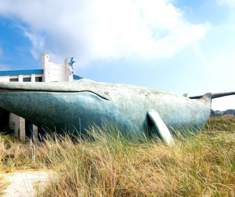 Whaling - Tourist Information Centre (VVV) Ameland