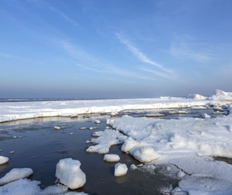 Whaling - Tourist Information Centre (VVV) Ameland