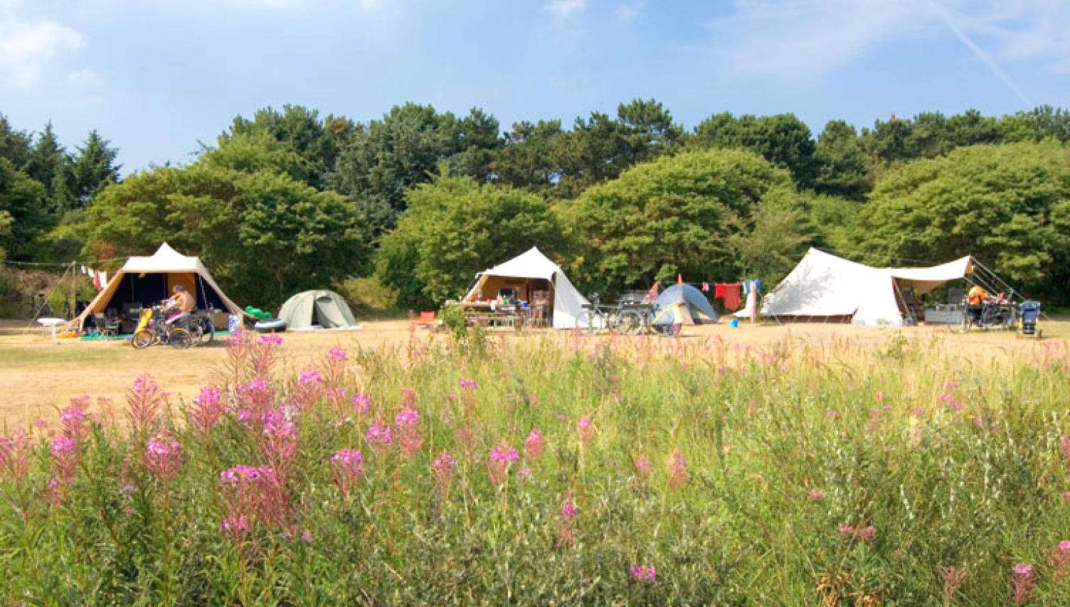 Camping on Ameland - Tourist Information 