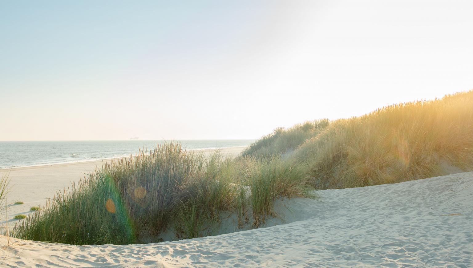 Ameland - Schiermonnikoog - Mudflat Hopping - Tourist Information 