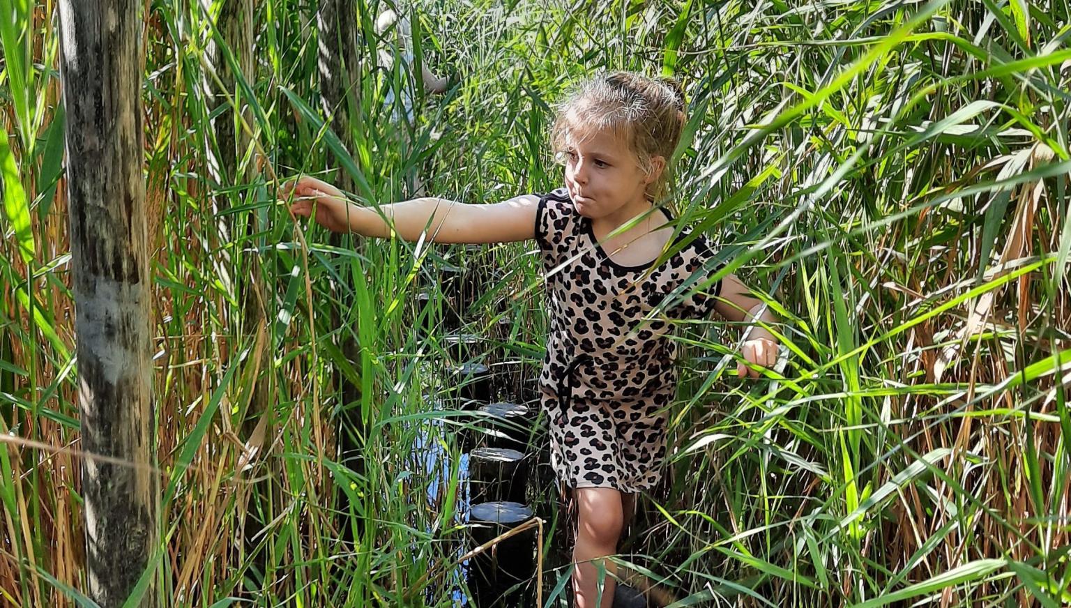 Barefoot path - VVV Ameland