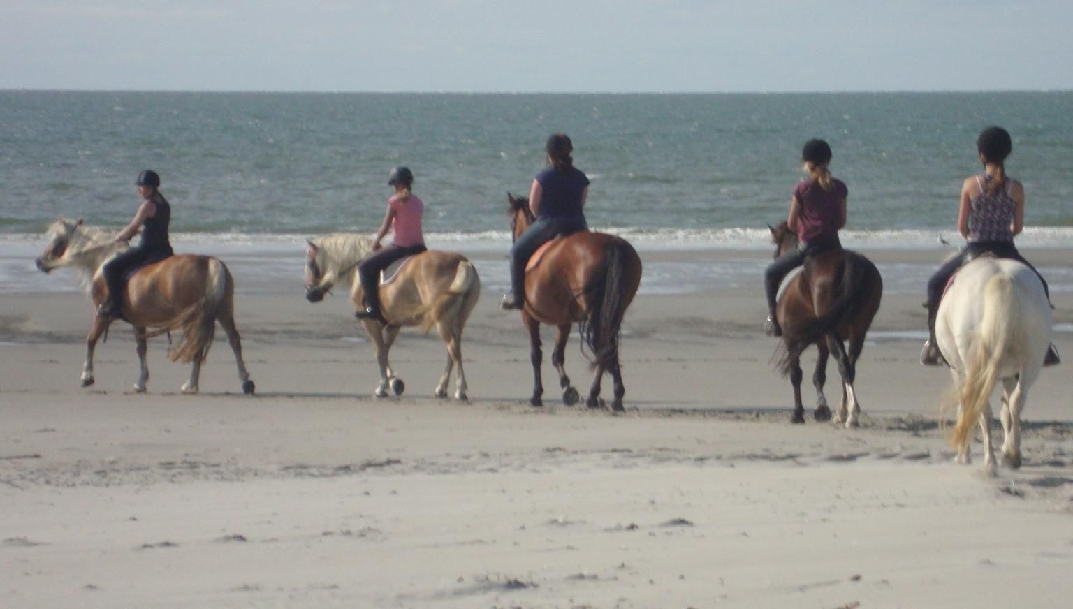 De Hollumer Trap - VVV Ameland