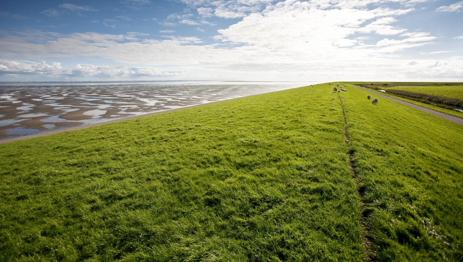 The Storm Surge of 1825 - VVV Ameland