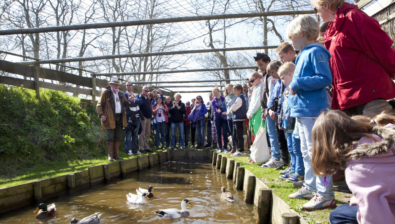 Excursion in the duck decoy - Tourist Information 