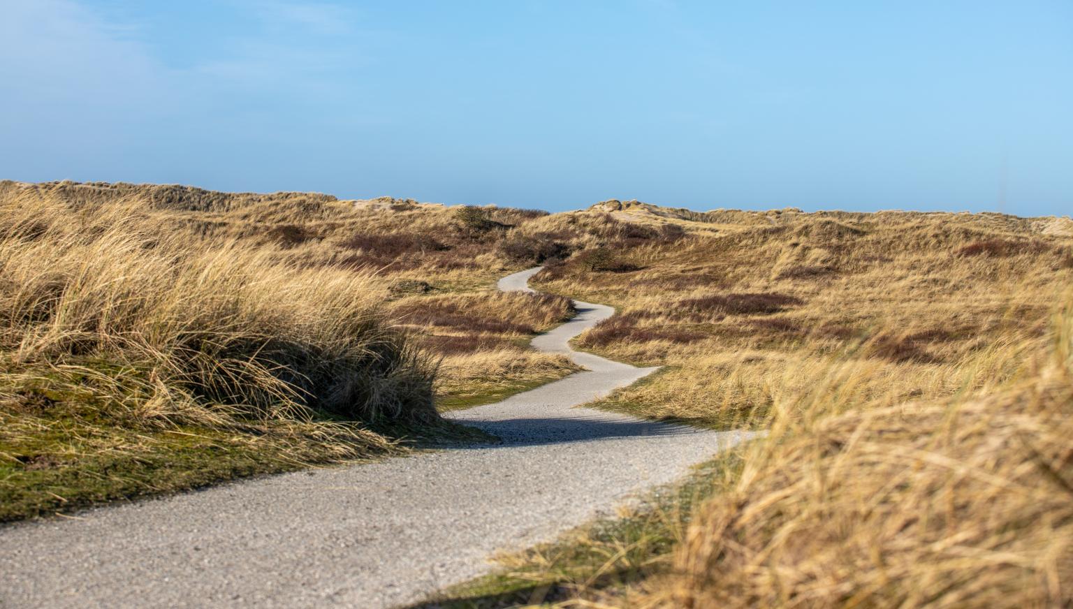 New Year's resolutions? Start on Ameland! - VVV Ameland