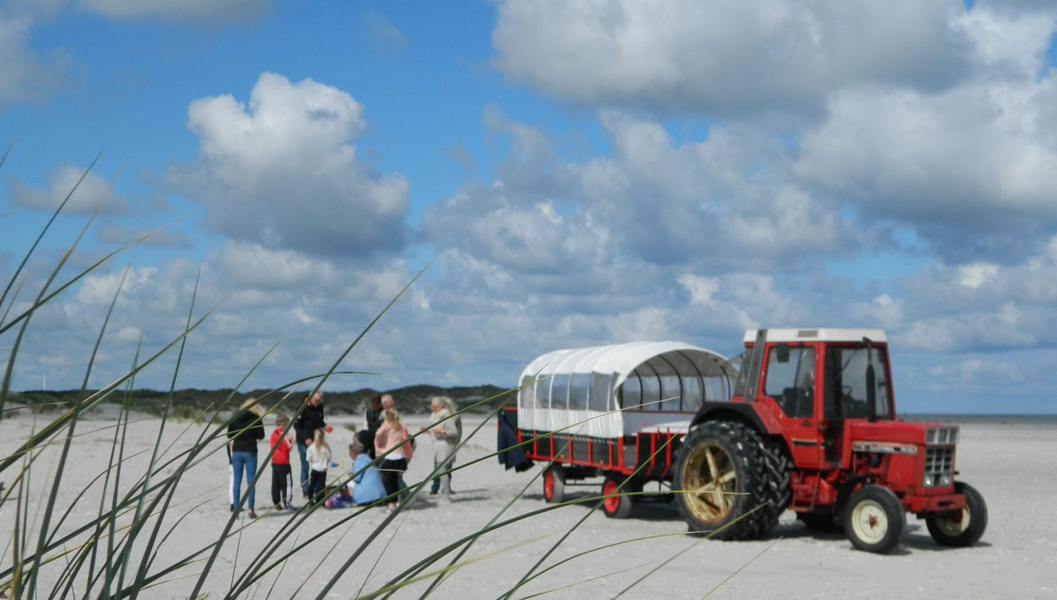 Covered Wagon Tours Brouwer - Tourist Information 