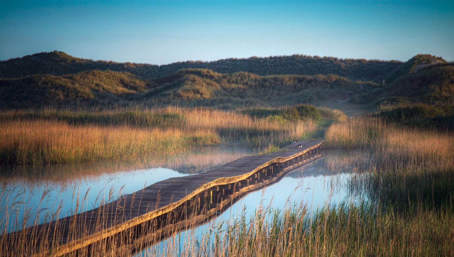 Where the locals go - Ameland tips from our VVV colleagues - VVV Ameland