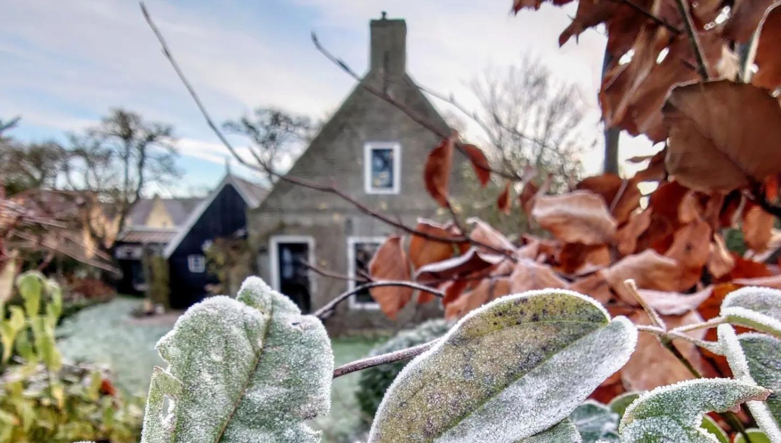 Christmas Holidays on Ameland - VVV Ameland - VVV Ameland