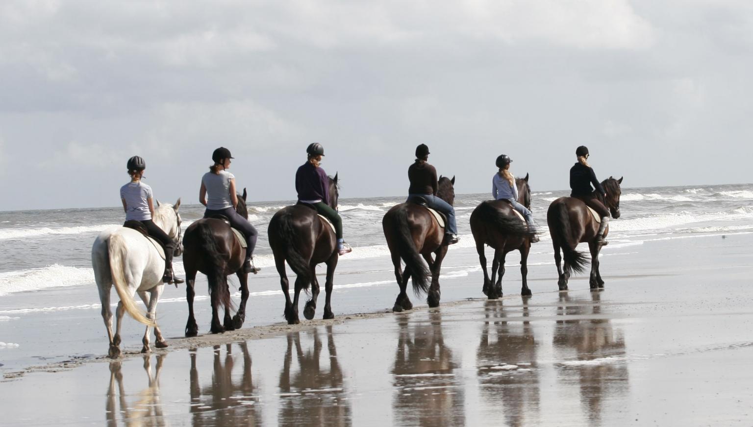 Riding stable 't Jutterspad - Tourist Information 