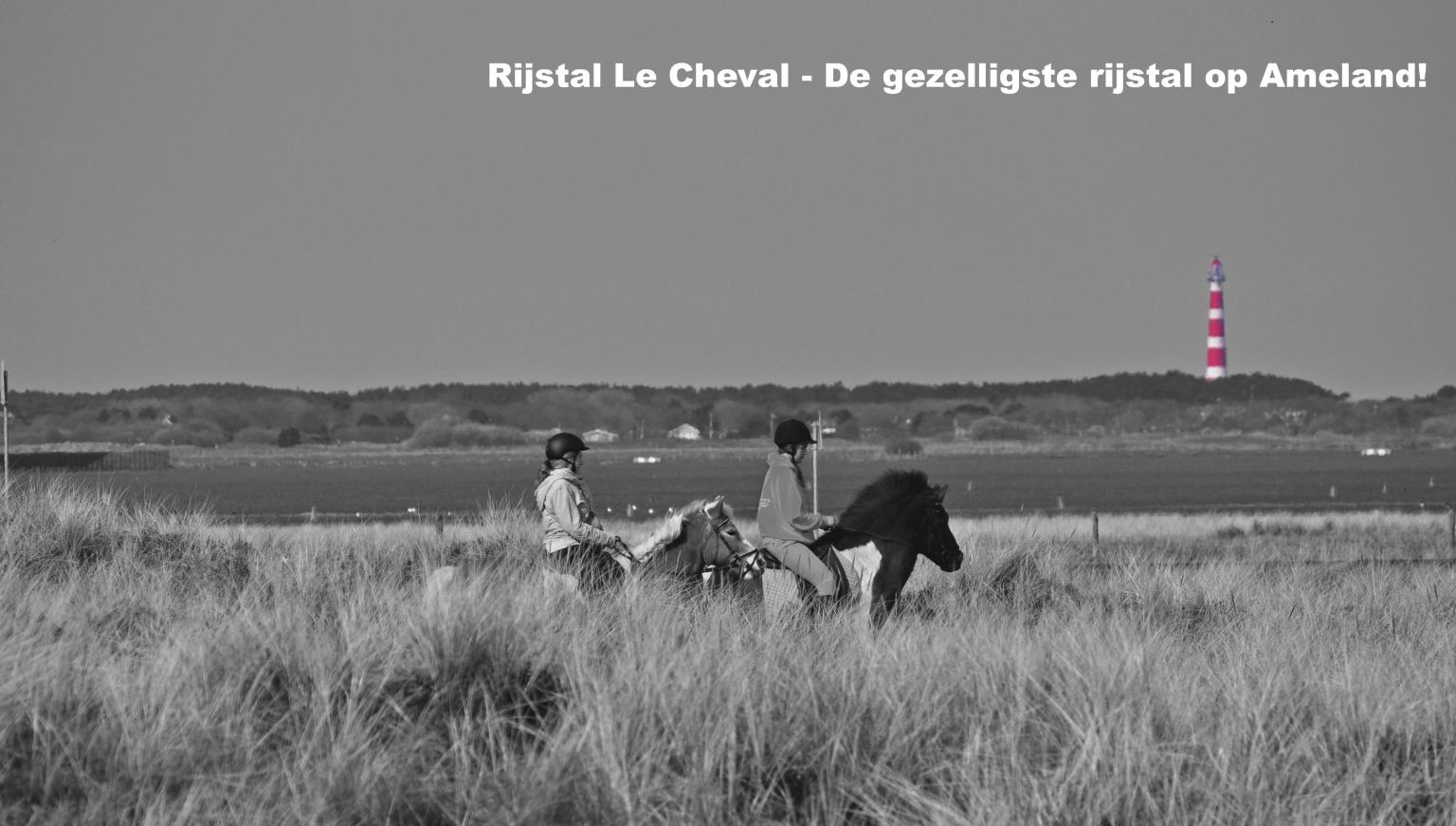 Riding stable Le Cheval - Tourist Information Ameland