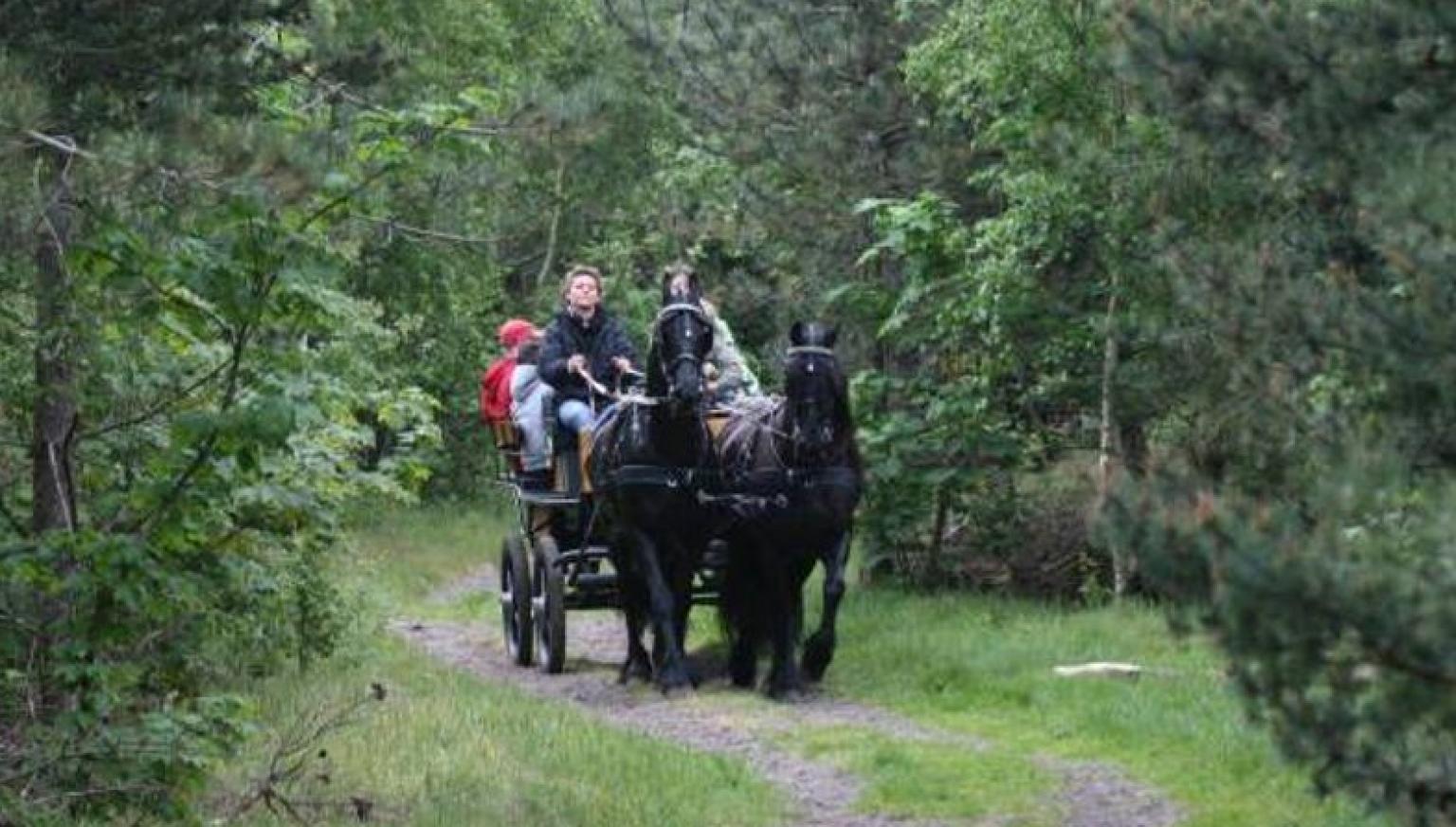 Stable van Buren - rental groups rides - Tourist Information 