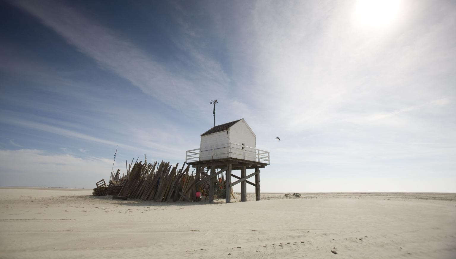 Ameland - Vlieland mudflat hopping - Tourist Information 