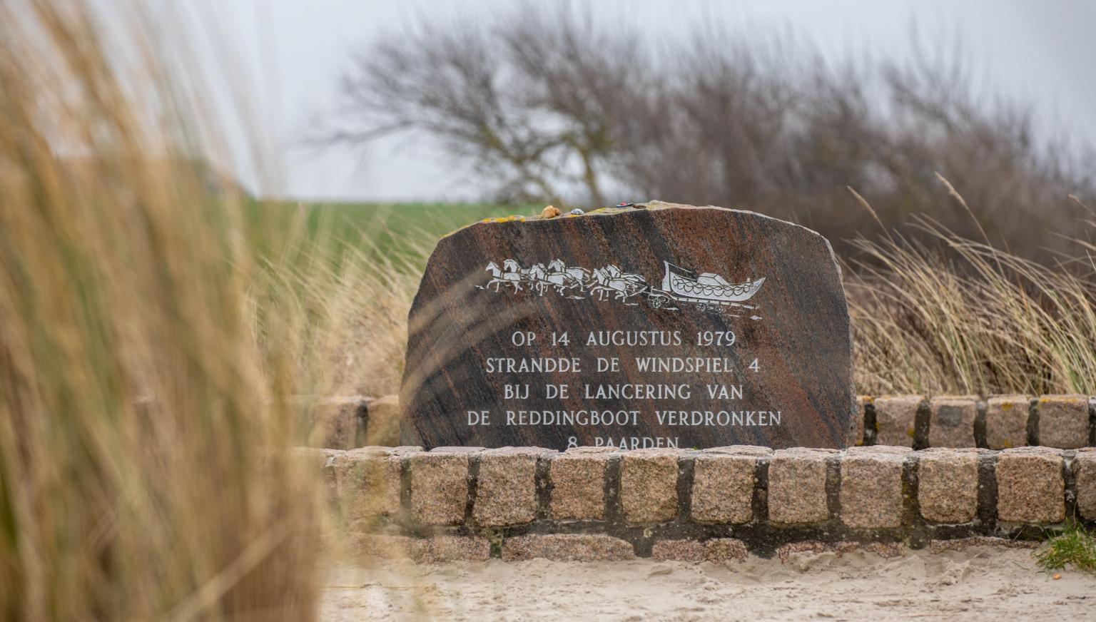 The Drowned Horses of Ameland - VVV Ameland