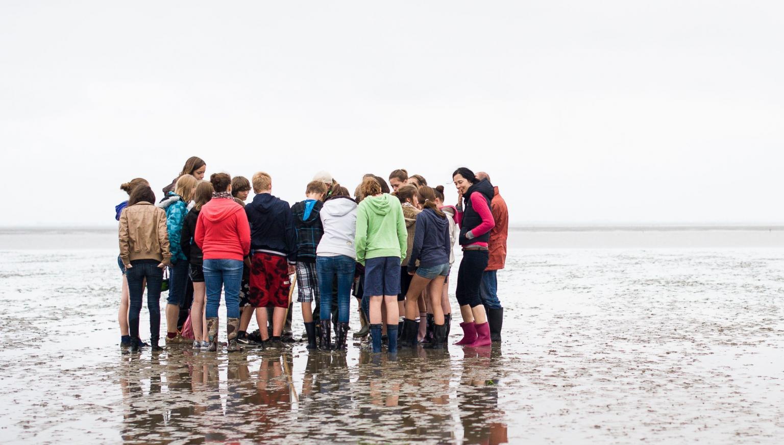 Mudflat excursion - Tourist Information 