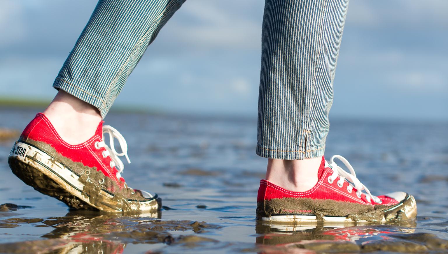 Mudflat excursion - Tourist Information 