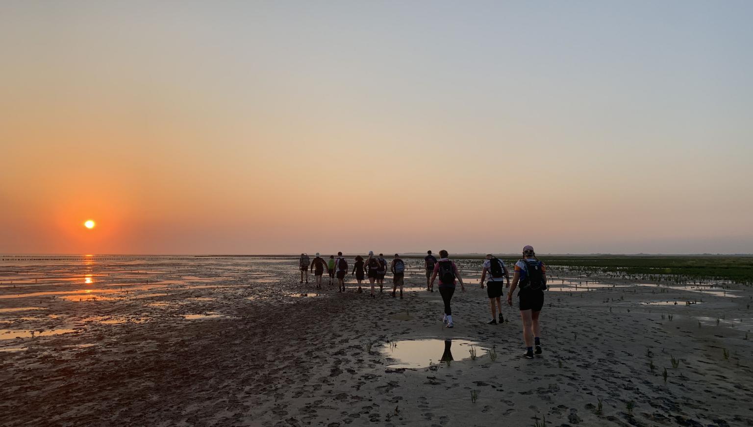 Mudflat wandering tour - Tourist Information 