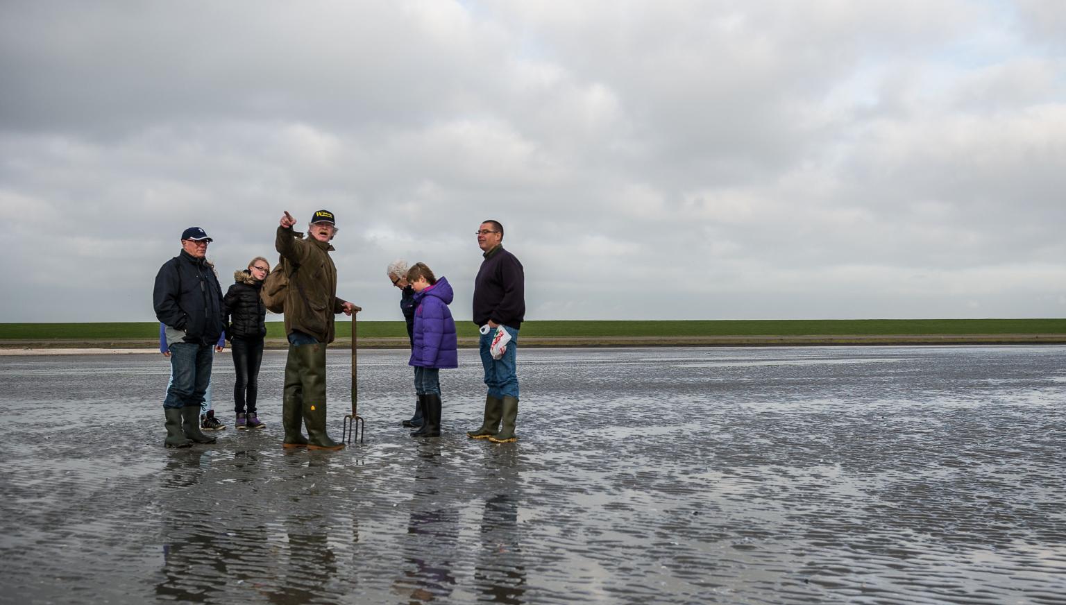 Wijnberg Mudflat excursions - Tourist Information 